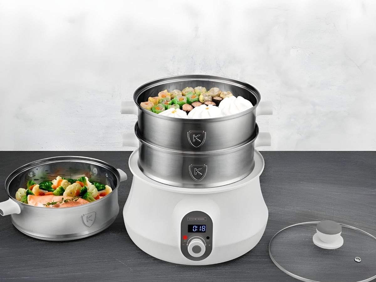 cuiseur vapeur inox electrique pas cher